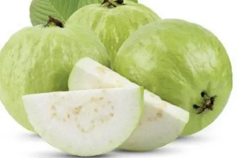 Hình ảnh ổi giòn ngọt 