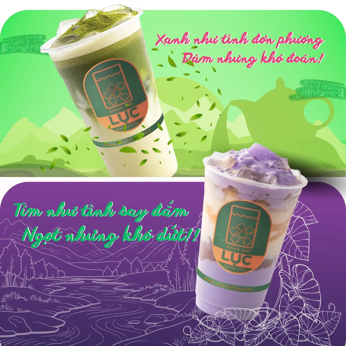 Hình ảnh combo Hoàn Mỹ