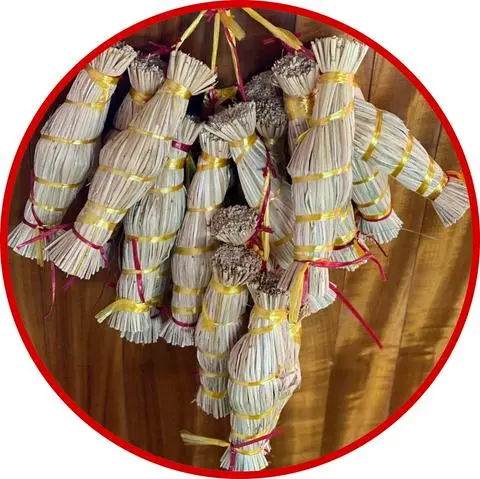 Hình ảnh tré Bình định
