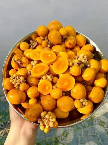 Hình ảnh Trứng non thêm