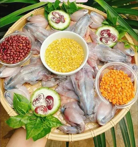 Hình ảnh Cháo ếch hầm hạt macca bí đỏ