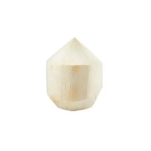 Hình ảnh Dừa Tươi 新鲜椰子 Fresh Coconut
