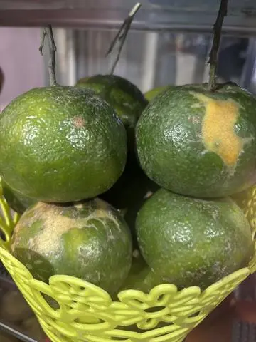 Hình ảnh Nước ép cam