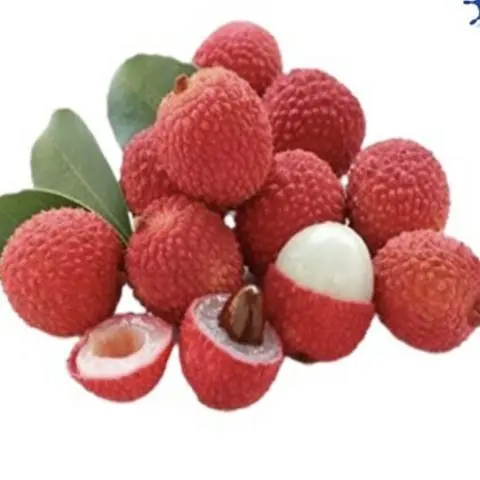 Hình ảnh 52 Trái vải 