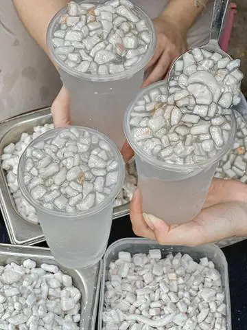 Hình ảnh Nước dừa trân châu dừa truyền thống