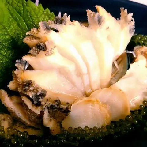 Hình ảnh Bào Ngư Sashimi 1 Con
