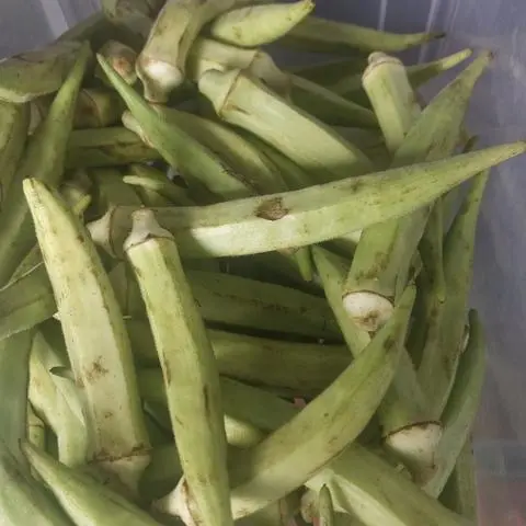 Hình ảnh Đậu bắp nướng 