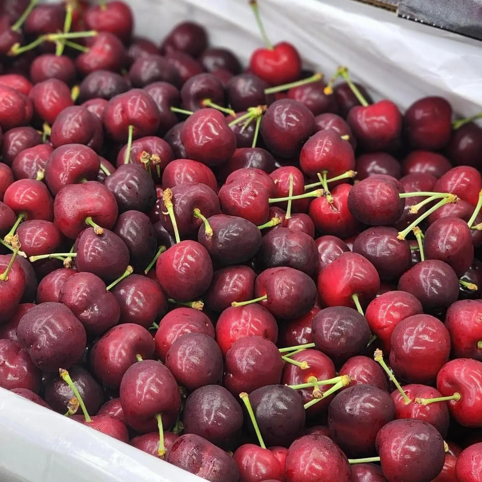Hình ảnh Cherry Mỹ (size to 8.5) hộp 500G