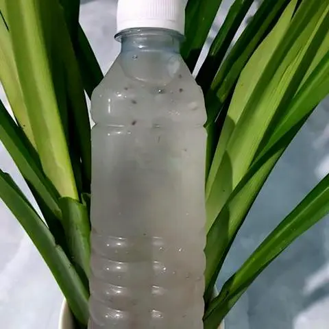 Hình ảnh Nha đam hạt chia đường phèn - 1 chai