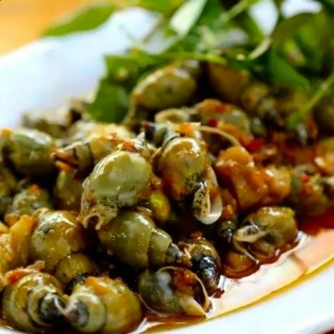 Hình ảnh Ốc Cà Na Xào Tỏi