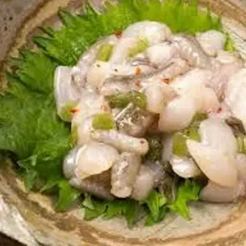Hình ảnh Bạch tuộc wasabi