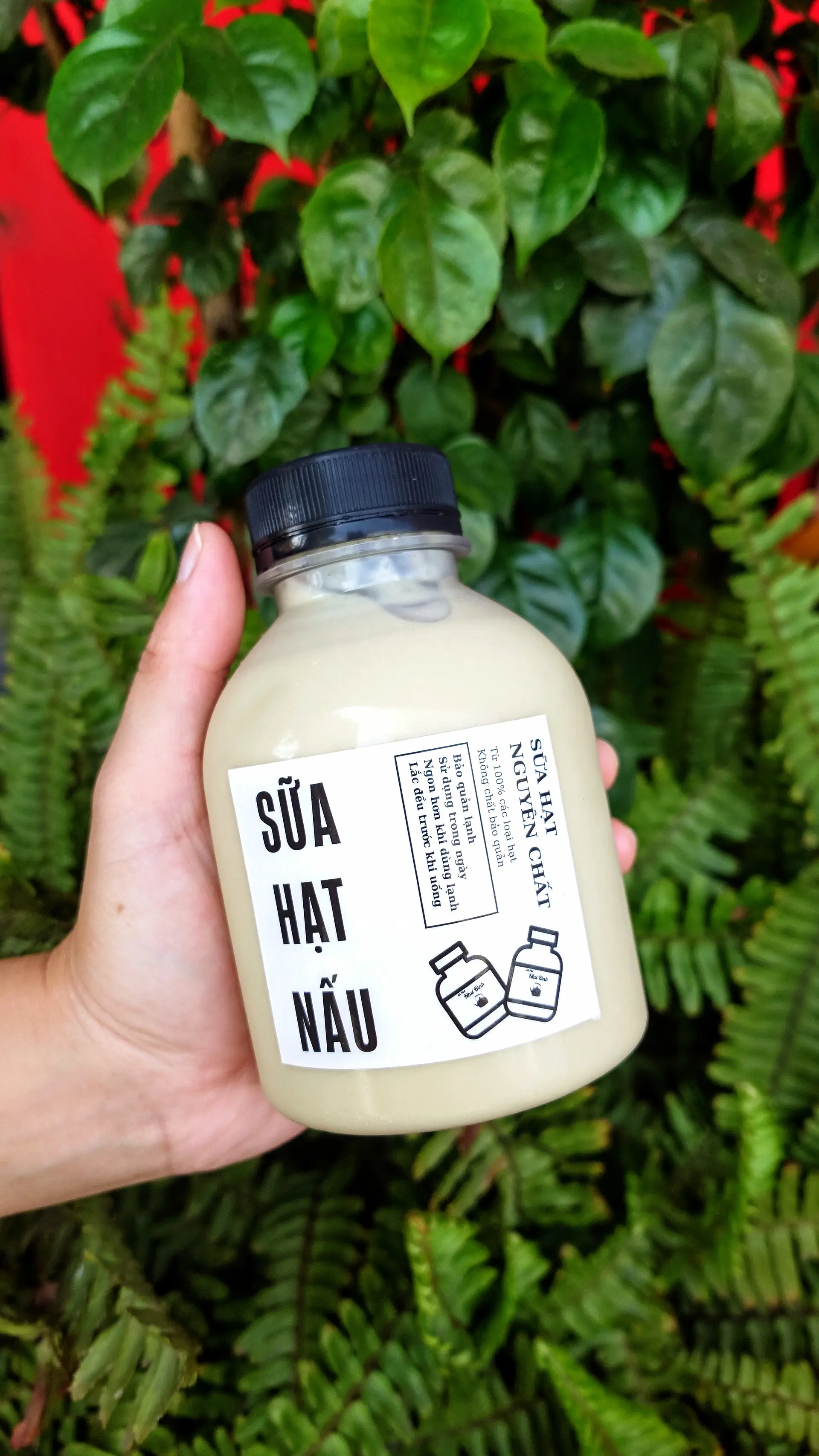 Hình ảnh Sữa hạt nguyên vị