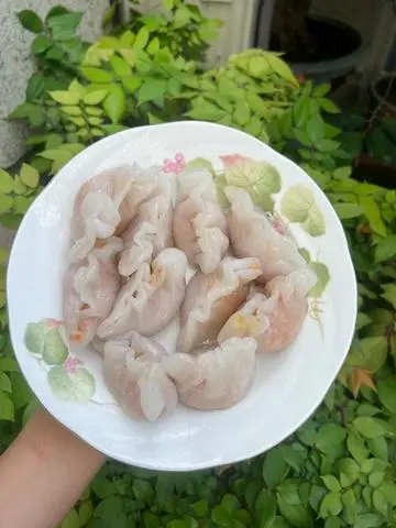 Hình ảnh Há cảo cải