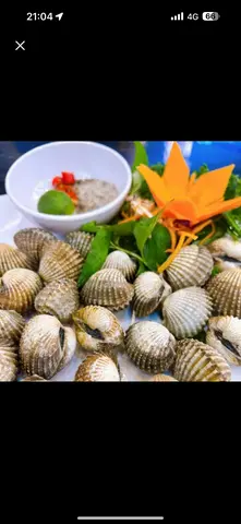 Hình ảnh Sò Huyết nướng mọi