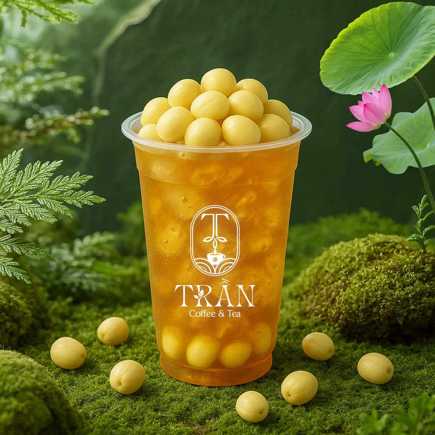 Hình ảnh Trà Sen Nhãn