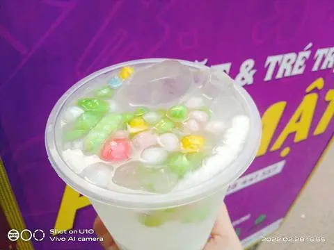 Hình ảnh Dừa tắc khổng lồ