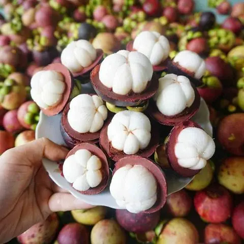 Hình ảnh Set Măng Cụt