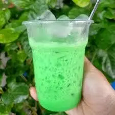 Hình ảnh SÂM DỨA SỮA