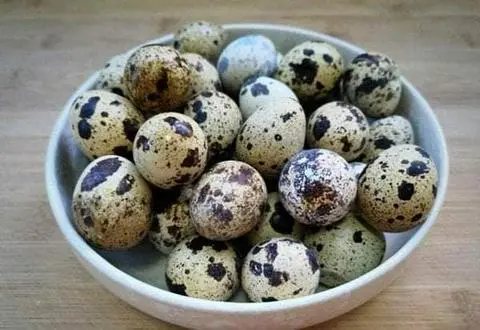 Hình ảnh Trứng Cút