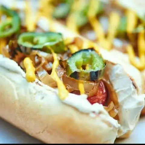 Hình ảnh seatle dog