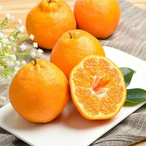Hình ảnh QUÝT CHUM ÚC (1kg) 
