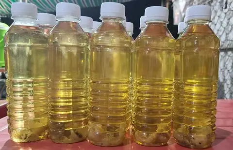 Hình ảnh Sâm Bông Cúc Đường Phèn