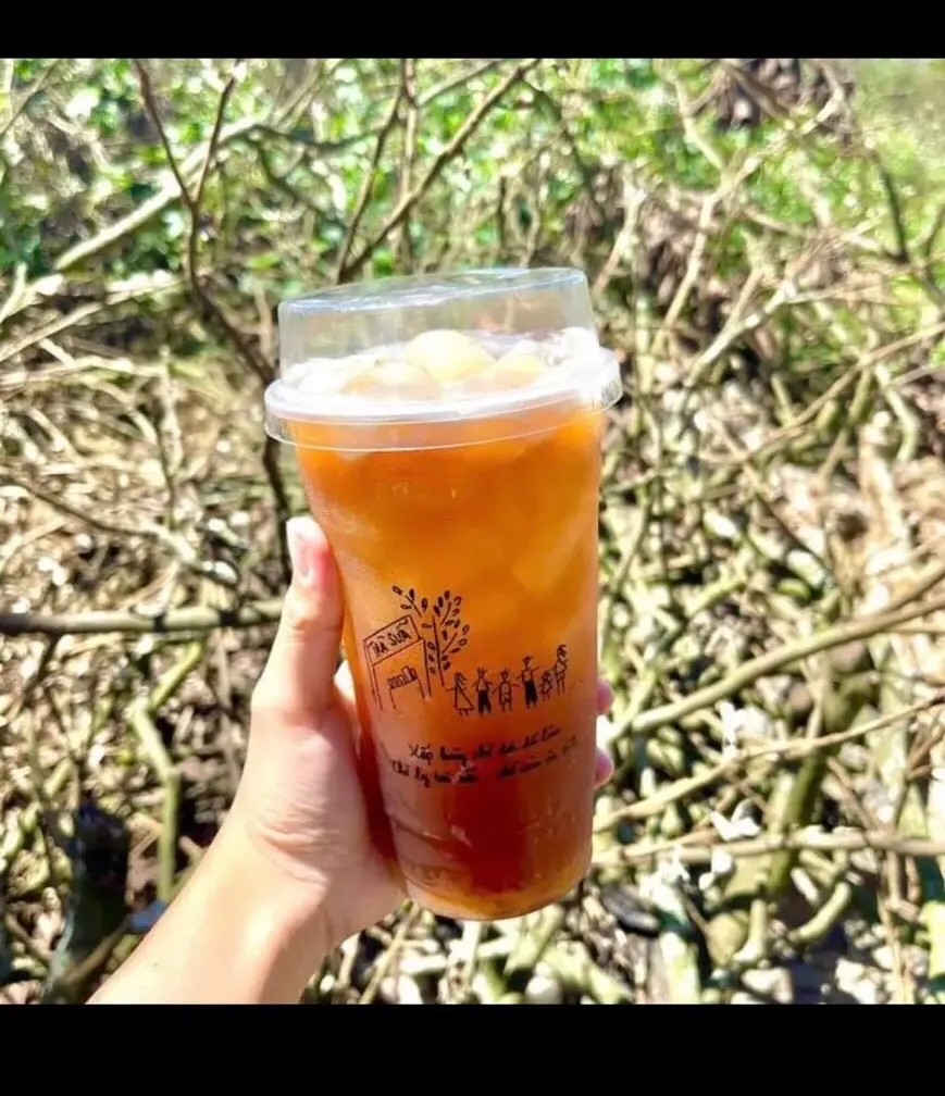 Hình ảnh Trà Vải