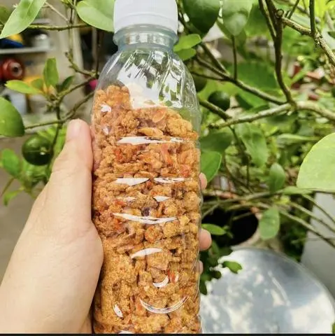 Hình ảnh Muối Tôm Nhà Làm