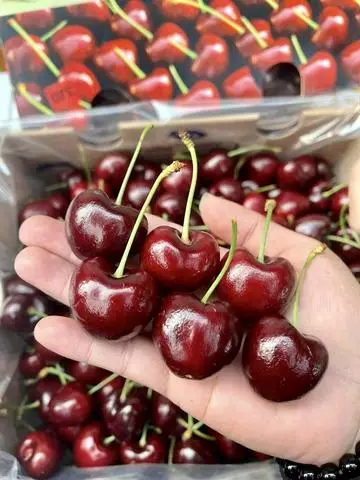 Hình ảnh Khay 150g Cherry Mỹ nhập khẩu