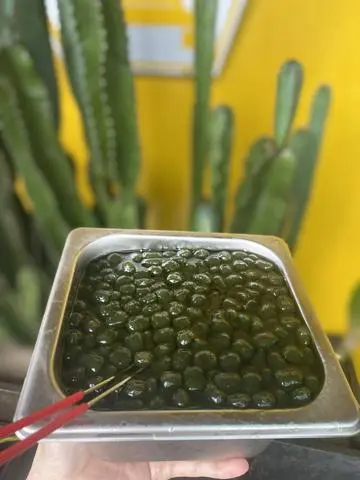 Hình ảnh TRÂN CHÂU OLONG GIÒN