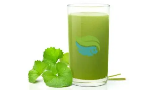 Hình ảnh RAU MÁ SẦU RIÊNG