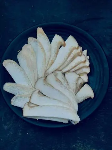 Hình ảnh nấm đùi gà 