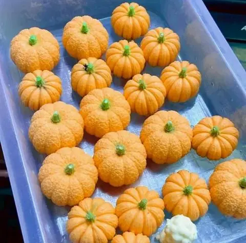 Hình ảnh Milo Dầm + Bí Ngô