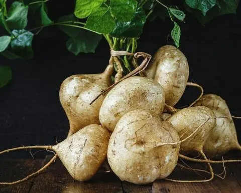 Hình ảnh 1 ký Củ sắn + Muối tôm