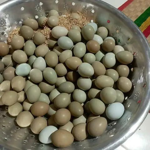 Hình ảnh Cháo trứng chim t,rĩ