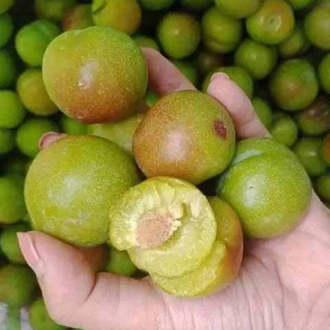 Hình ảnh Mận Cơm Tróc Hạt