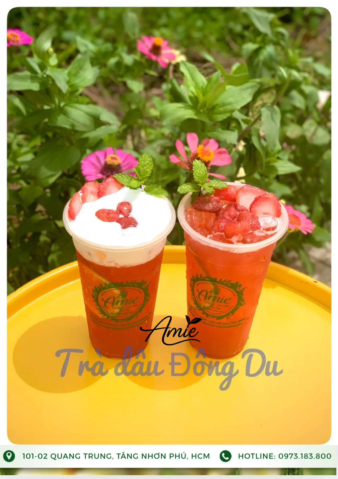 Hình ảnh Trà dâu Đông Du