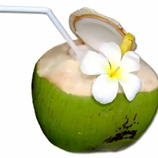 Hình ảnh Dừa