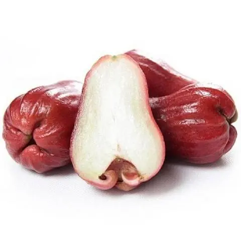 Hình ảnh MẬN AN PHƯỚC cắt sẵn