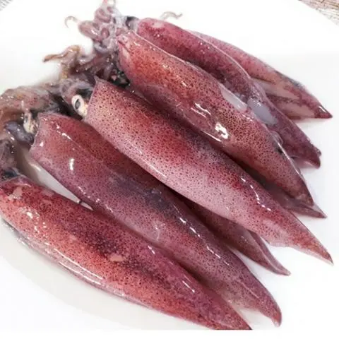 Hình ảnh mực trứng tươi