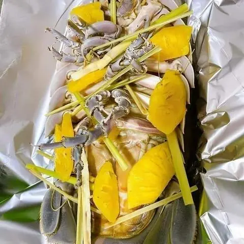 Hình ảnh BỌ BIỂN HẤP XẢ