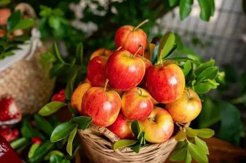 Hình ảnh nước ép táo 
