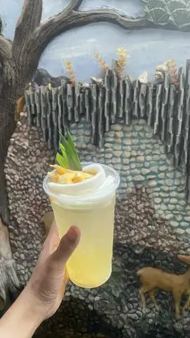 Hình ảnh DỪA TẮC 