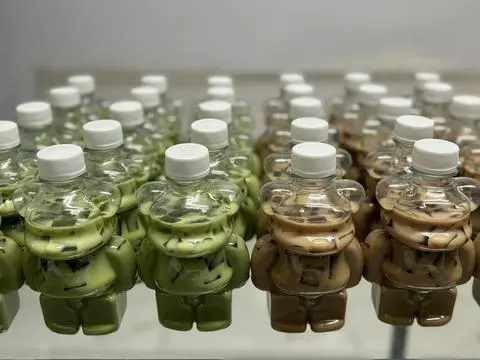 Hình ảnh Combo 5 chai trà sữa mix vị