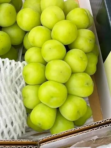 Hình ảnh Nho Sữa Ngon 