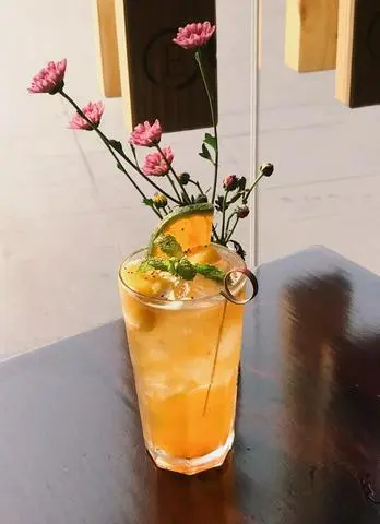 Hình ảnh Trà Đào hạt chia