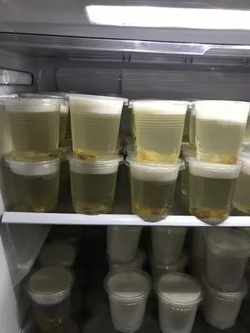 Hình ảnh Rau câu dừa ly - topping nhãn nhục
