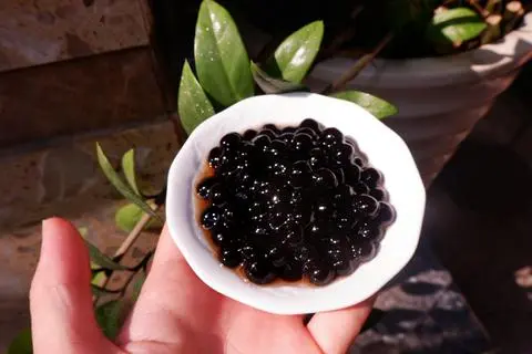 Hình ảnh Trân Châu Đen
