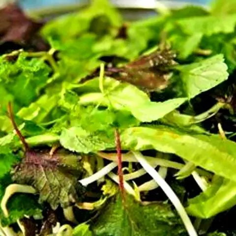 Hình ảnh Rau cuốn thêm