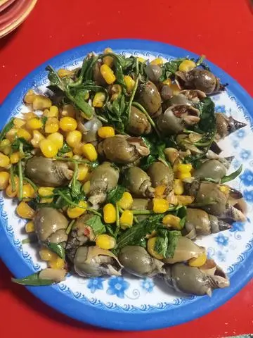 Hình ảnh cà na rang muối Mai 